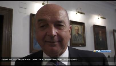 TRIESTE | FAMULARI VICEPRESIDENTE: DIPIAZZA 'CONVINCERO' I MIEI'