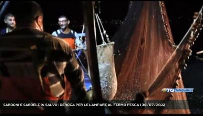 TRIESTE | 'SARDONI E SARDELE IN SALVO': DEROGA PER LE LAMPARE AL FERMO PESCA