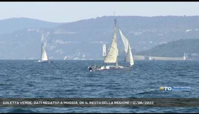 TRIESTE | GOLETTA VERDE: DATI NEGATIVI A MUGGIA