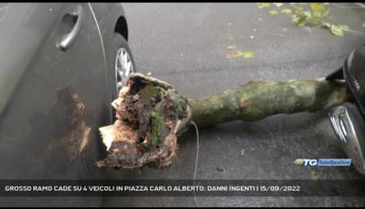 TRIESTE | GROSSO RAMO CADE SU 4 VEICOLI IN PIAZZA CARLO ALBERTO: DANNI INGENTI