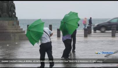 TRIESTE | DANNI CAUSATI DALLA BORA: 45 INTERVENTI DEI POMPIERI FRA TRIESTE E MUGGIA