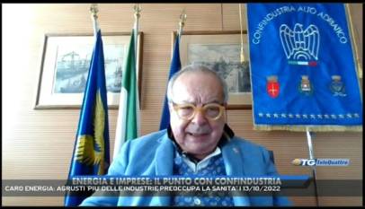 TRIESTE | CARO ENERGIA: AGRUSTI 'PIU' DELLE INDUSTRIE PREOCCUPA LA SANITA''