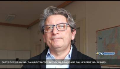 TRIESTE | PORTO E COVID IN CINA: 'CALO DEI TRAFFICI IN VISTA MA RILANCIAMO CON LE OPERE'