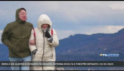 TRIESTE | BORA A 120: ALBERO SI SCHIANTA SU UN'AUTO