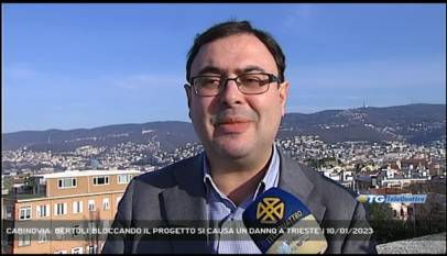 TRIESTE | CABINOVIA: BERTOLI 'BLOCCANDO IL PROGETTO SI CAUSA UN DANNO A TRIESTE'