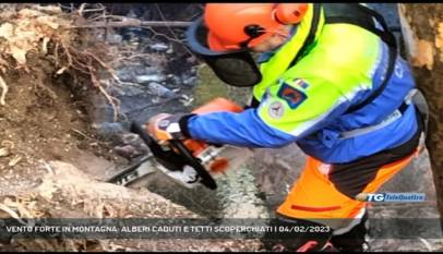 TRIESTE | VENTO FORTE IN MONTAGNA: ALBERI CADUTI E TETTI SCOPERCHIATI