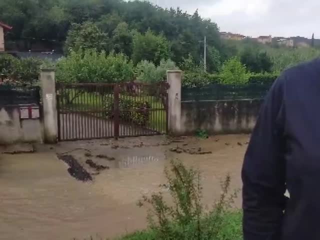 MUGGIA | A MUGGIA ESONDA IL MENARIOL: MESSE IN FUNZIONE LE PARATIE PER IL MANDRACCHIO - TELEQUATTRO | Medianordest