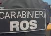 xvbOnxyggg0